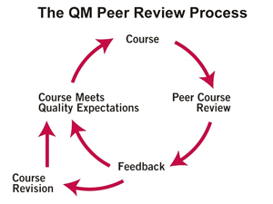 The QM Peer Review Process